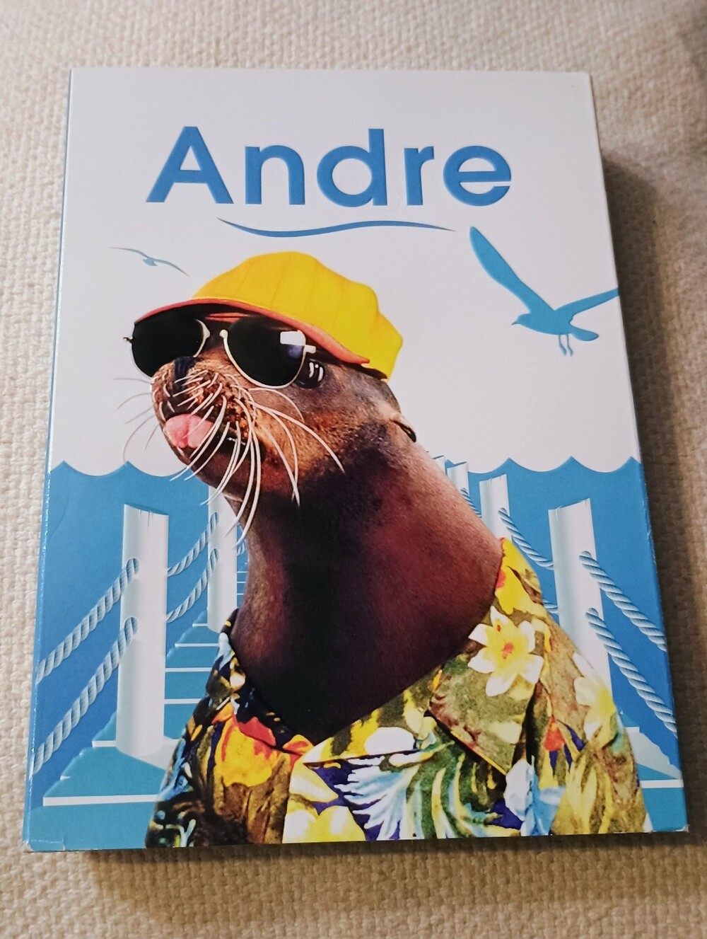 Andre NWT DVD 📀